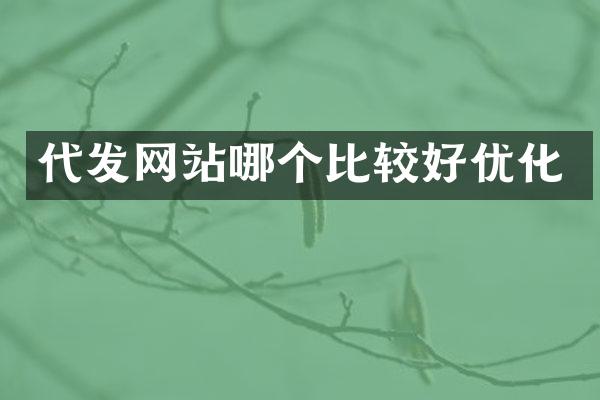 代发网站哪个比较好优化