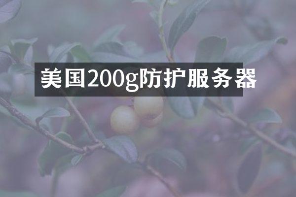 美国200g防护服务器