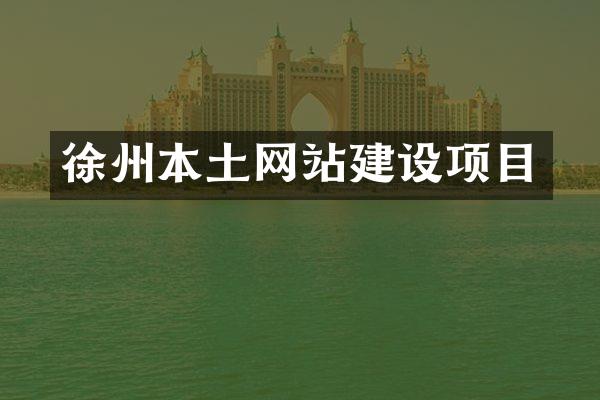 徐州本土网站建设项目