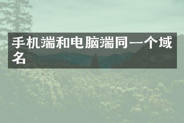 手机端和电脑端同一个域名