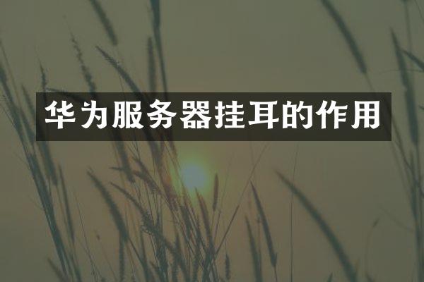 华为服务器挂耳的作用