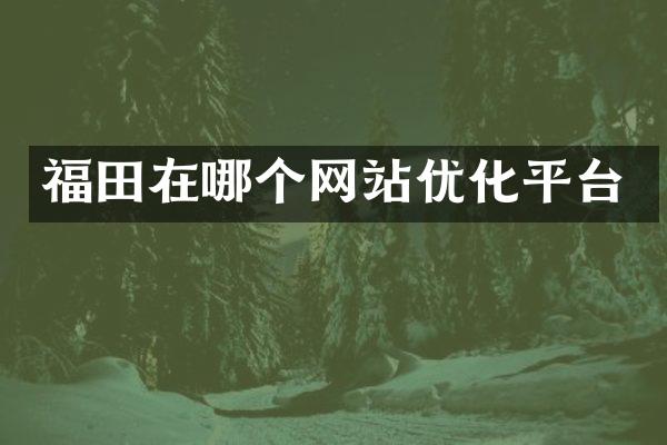 福田在哪个网站优化平台