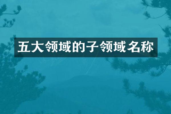 五大领域的子领域名称