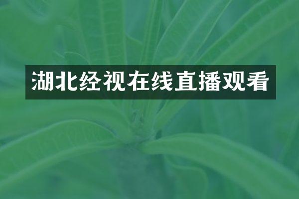湖北经视在线直播观看
