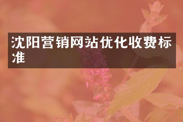 沈阳营销网站优化收费标准