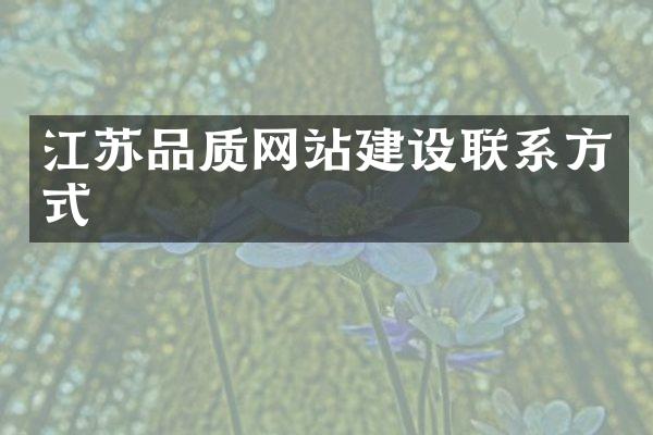 江苏品质网站建设联系方式