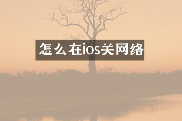 怎么在ios关网络