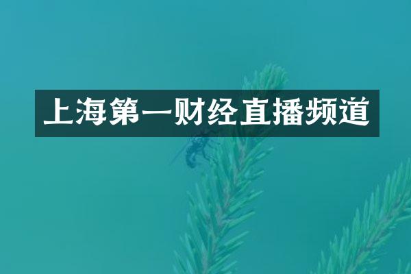 上海第一财经直播频道