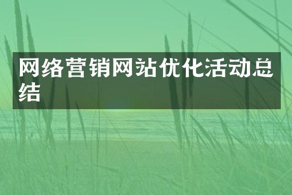 网络营销网站优化活动总结