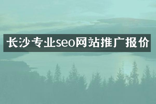 长沙专业seo网站推广报价