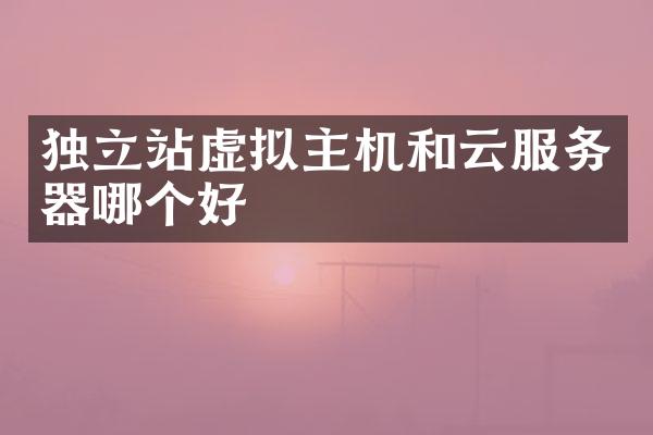 独立站虚拟主机和云服务器哪个好