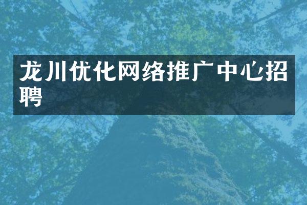 龙川优化网络推广中心招聘