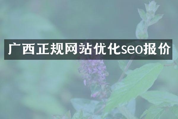 广西正规网站优化seo报价