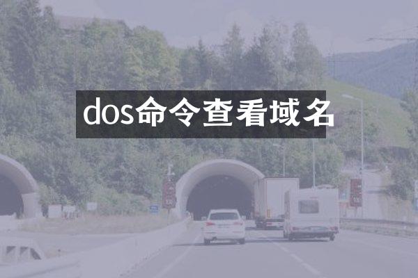 dos命令查看域名
