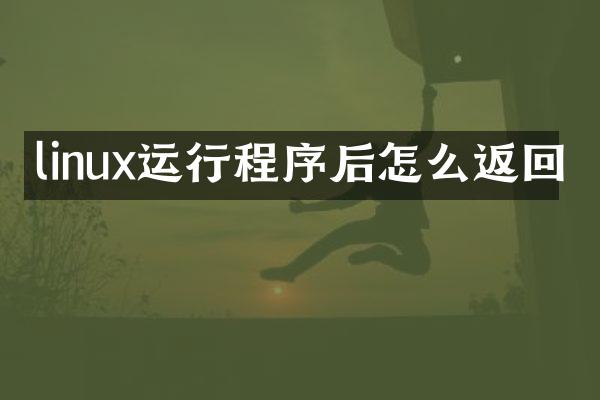 linux运行程序后怎么返回