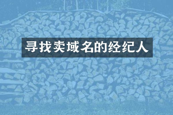 寻找卖域名的经纪人