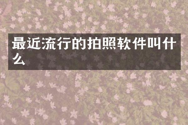 最近流行的拍照软件叫什么