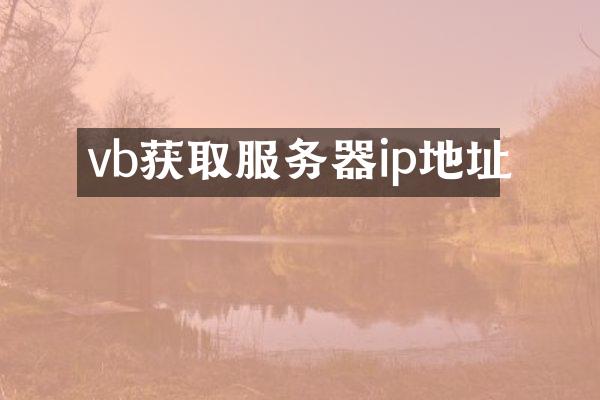 vb获取服务器ip地址