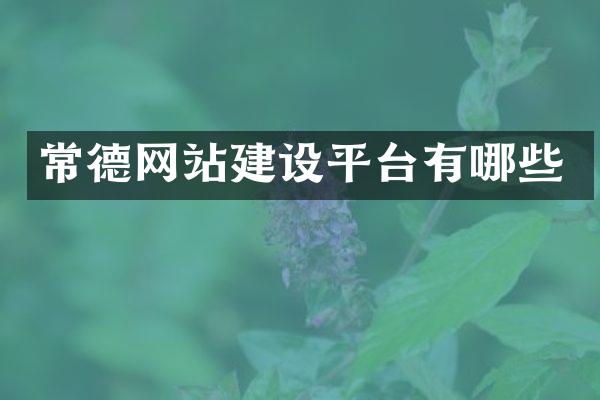 常德网站建设平台有哪些