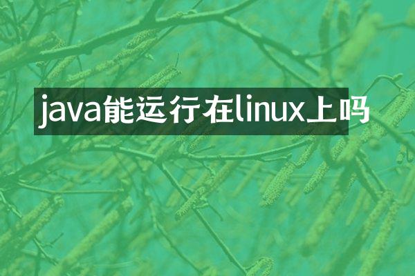 java能运行在linux上吗