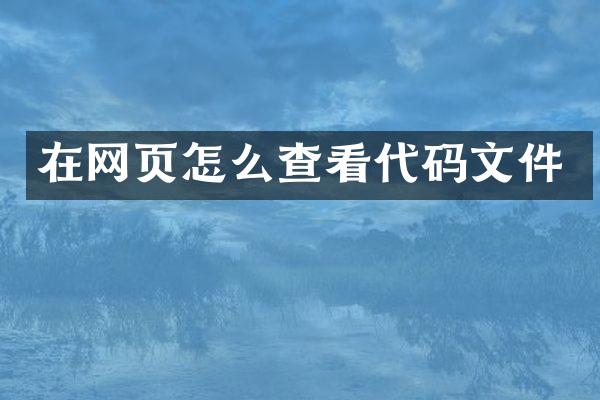 在网页怎么查看代码文件