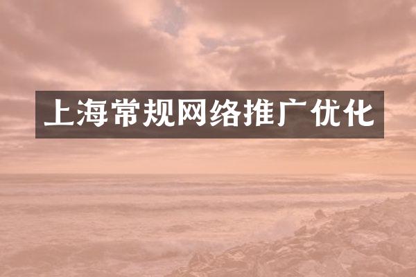 上海常规网络推广优化