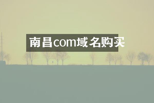 南昌com域名购买