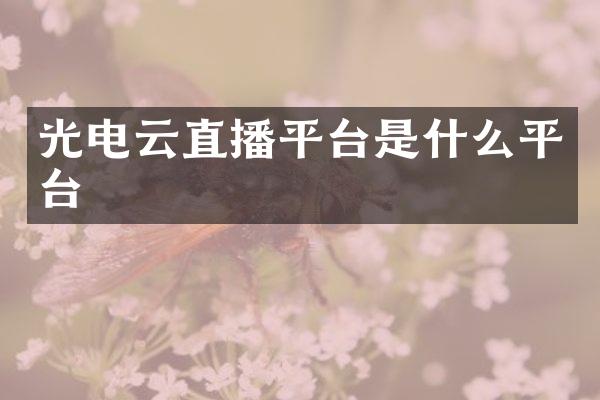 光电云直播平台是什么平台