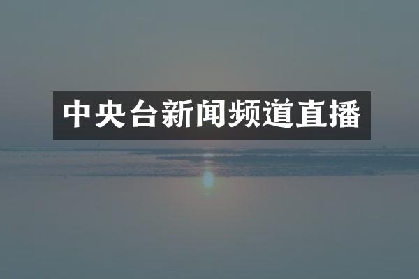 中央台新闻频道直播
