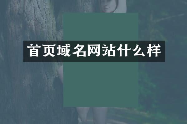 首页域名网站什么样
