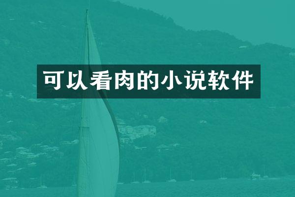 可以看肉的小说软件