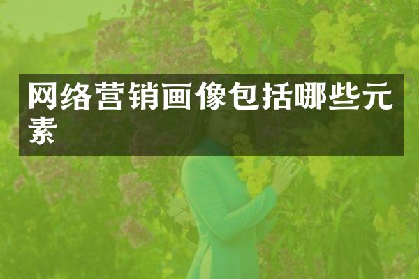 网络营销画像包括哪些元素