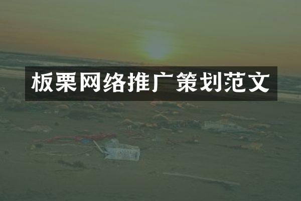 板栗网络推广策划范文