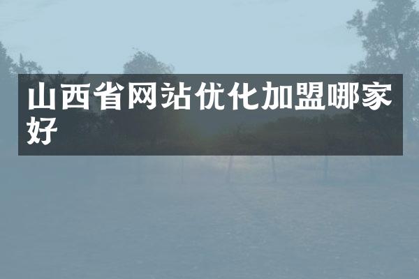 山西省网站优化加盟哪家好