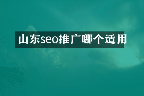 山东seo推广哪个适用