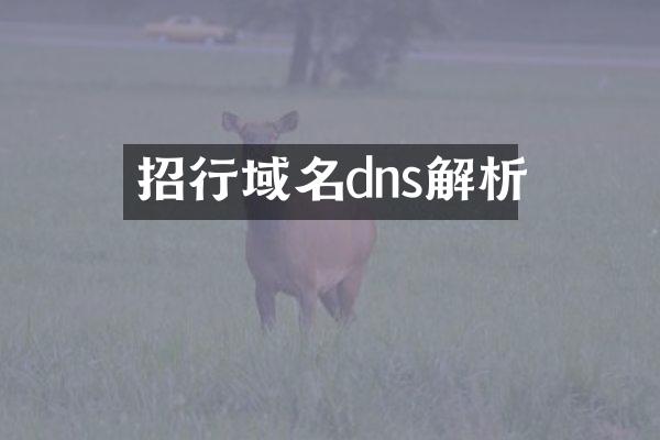 招行域名dns解析