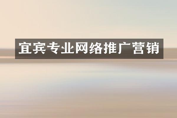 宜宾专业网络推广营销
