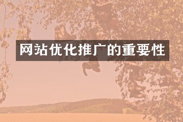网站优化推广的重要性