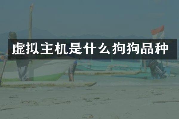 虚拟主机是什么狗狗品种