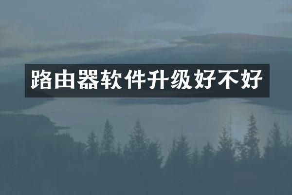 路由器软件升级好不好