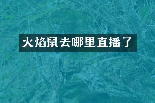 火焰鼠去哪里直播了