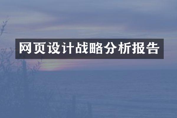 网页设计战略分析报告