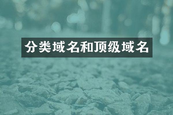分类域名和顶级域名