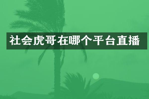 社会虎哥在哪个平台直播