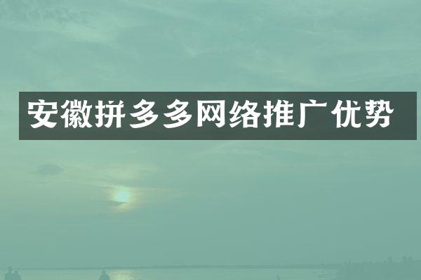 安徽拼多多网络推广优势