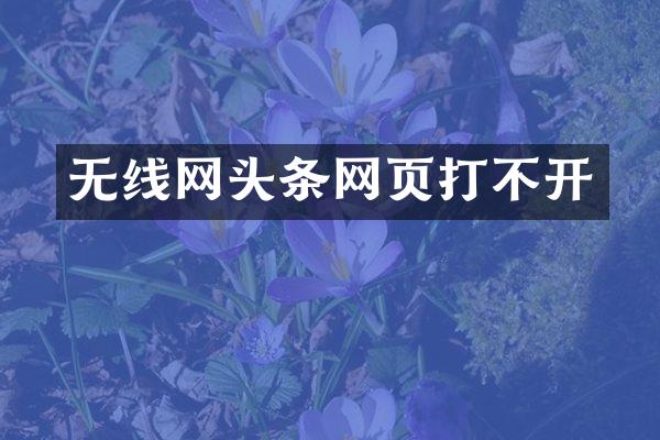无线网头条网页打不开