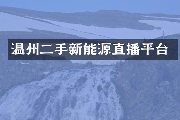 温州二手新能源直播平台