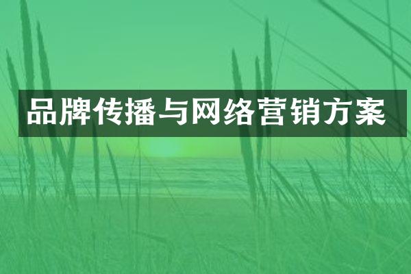 品牌传播与网络营销方案