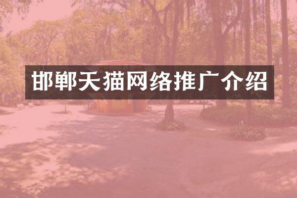 邯郸天猫网络推广介绍