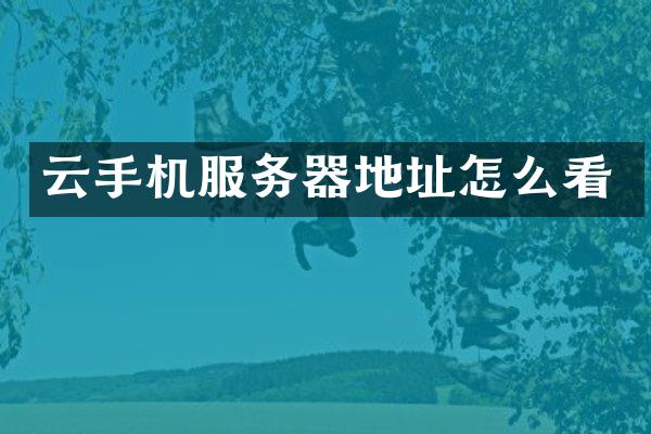 云手机服务器地址怎么看